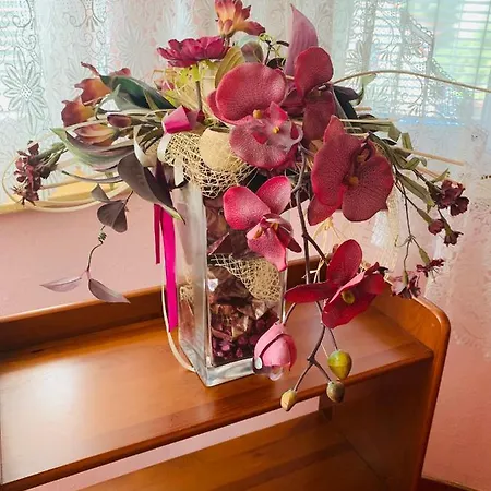 Appartement Alena Ostrava